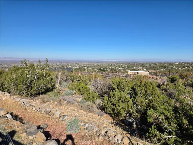 a view of a wrought fence and trees in the background