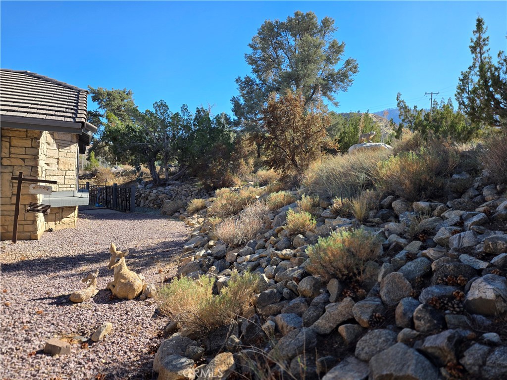9539 Soledad Road Pinon Hills, CA 92372 - Photo 10 of 66 a view of a yard with plants