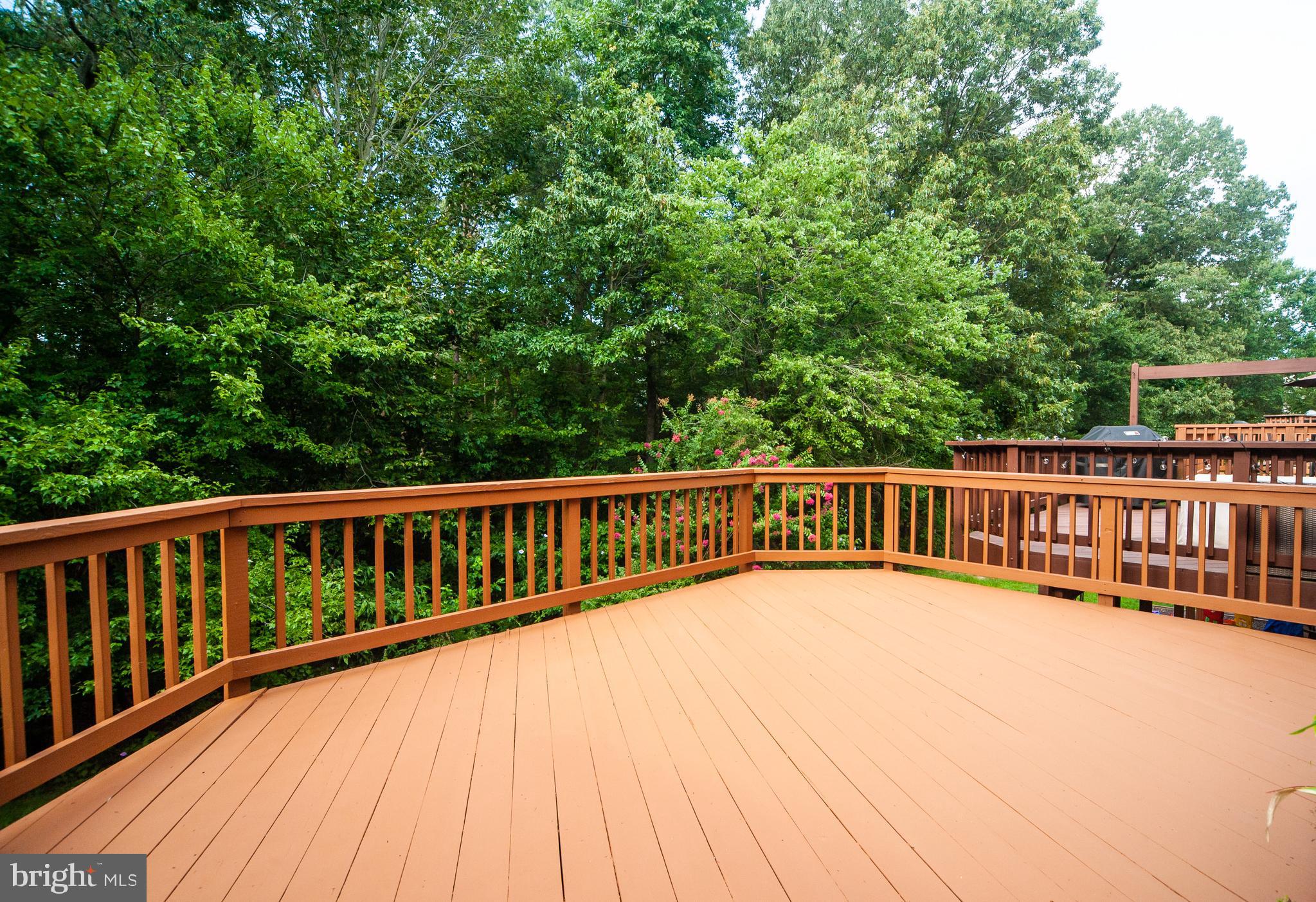 8727 Thornbrook Drive Odenton, MD 21113 - Photo 2 of 36