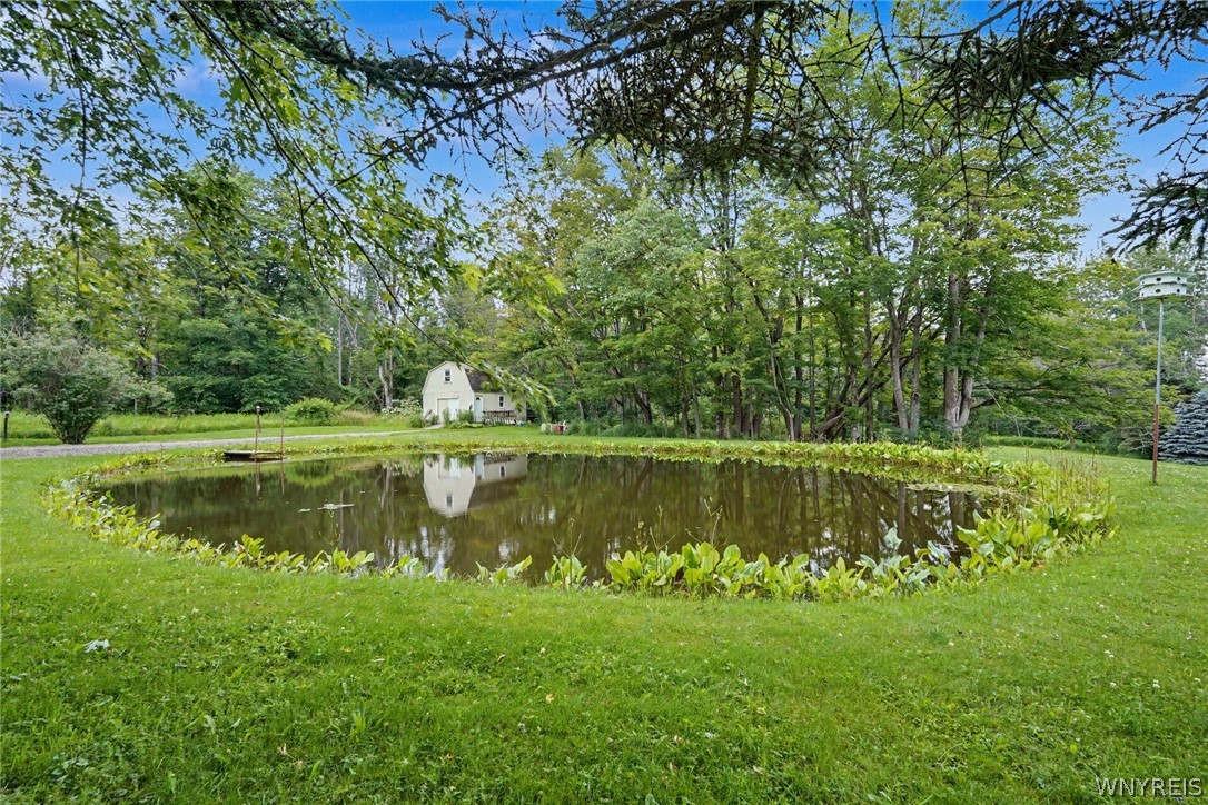 1738 Cheney Road Freedom, NY 14065 - Photo 12 of 47 Pond