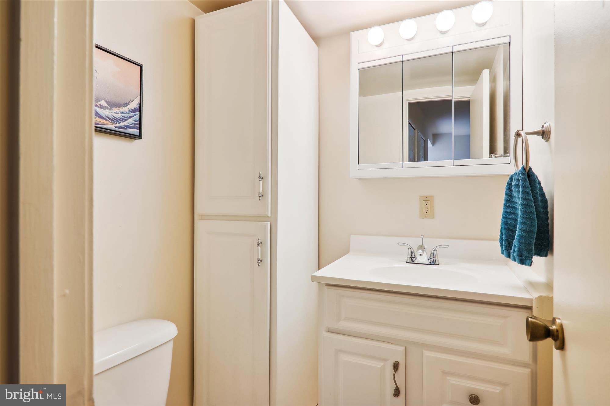 2105 Walsh View Terrace, Unit 15303 Silver Spring, MD 20902 - Photo 26 of 41 Powder Room off the Primary Bedroom