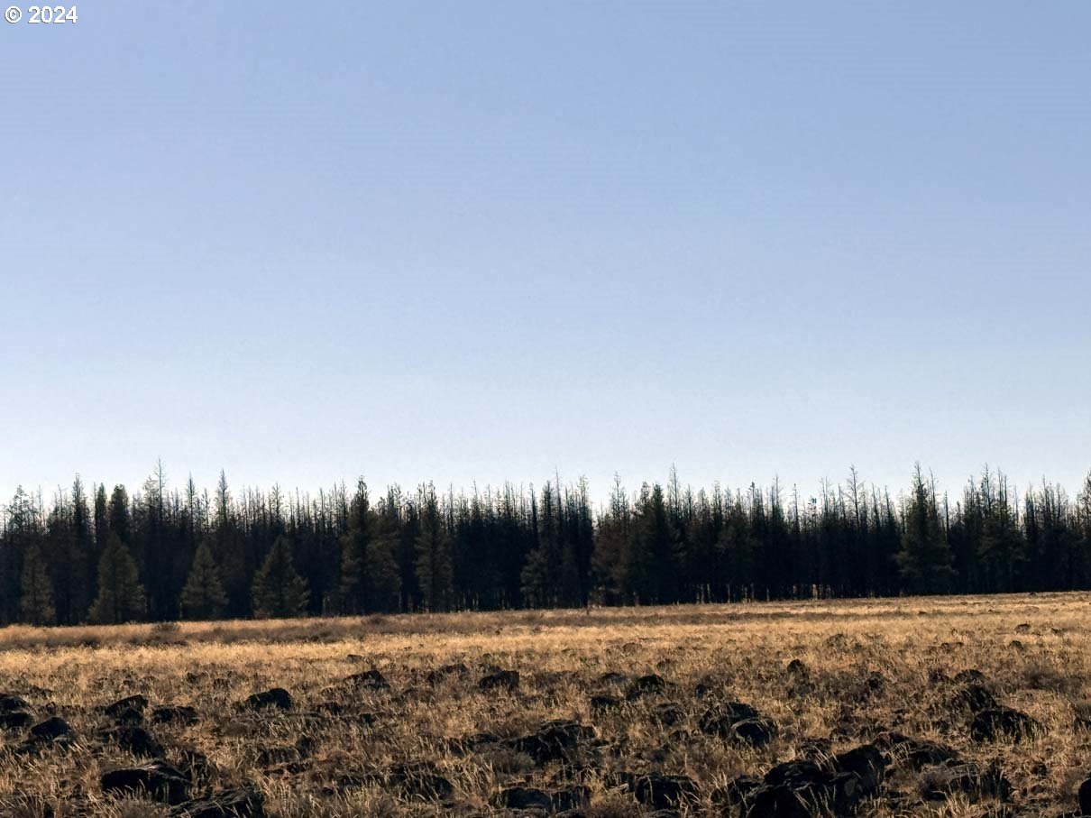 Bull Pine Road, Unit 500 Beatty, OR 97621 - Photo 16 of 48 a view of a yard with a tree