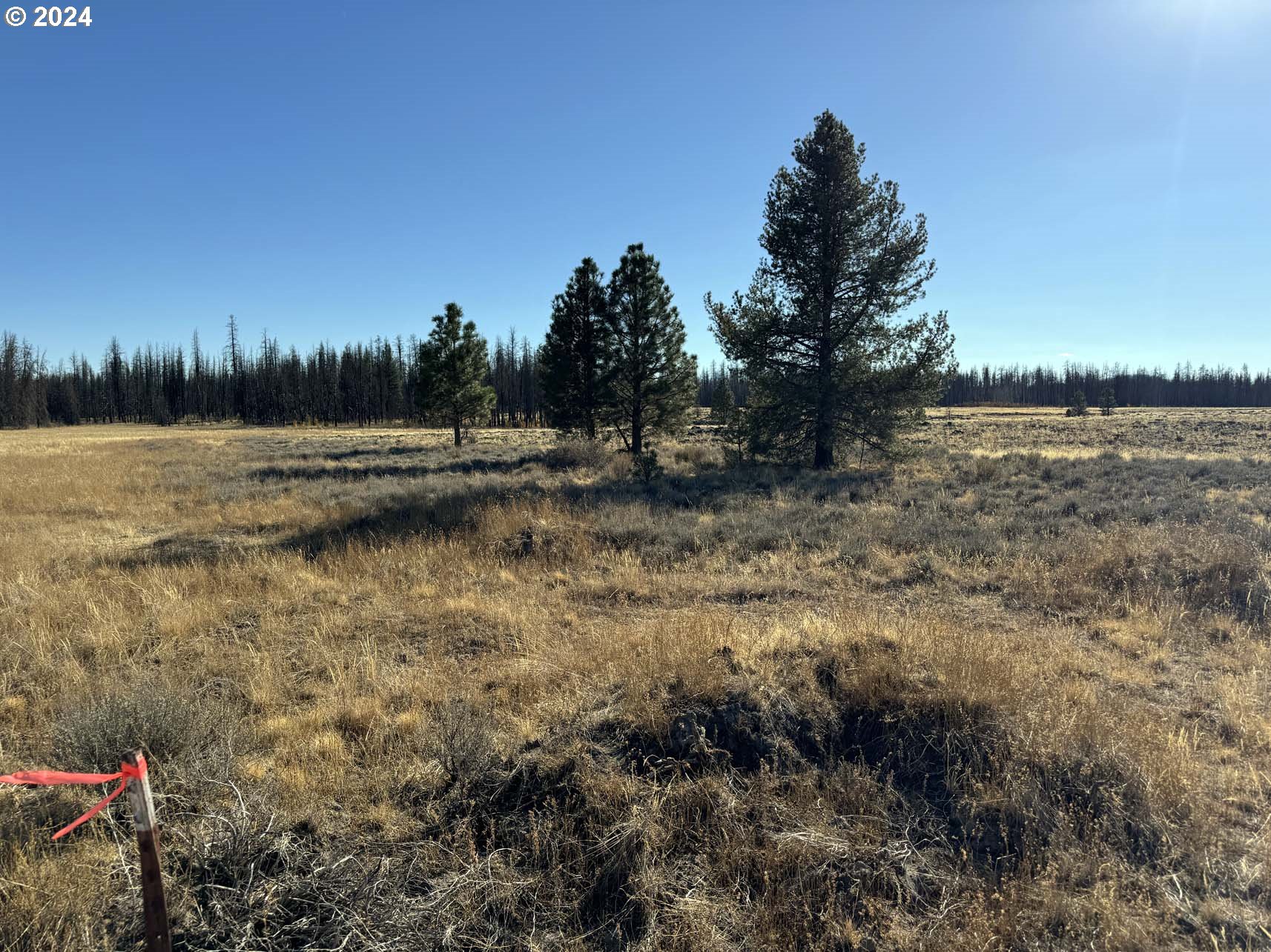 Bull Pine Road, Unit 500 Beatty, OR 97621 - Photo 25 of 48 a view of lake with green space
