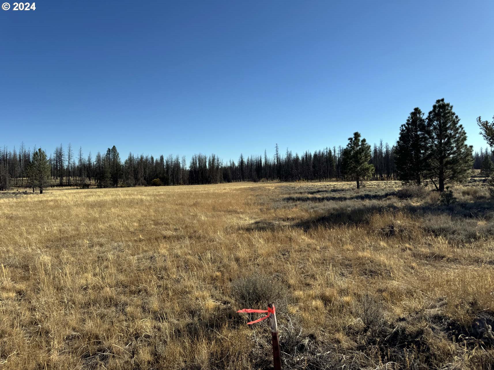 Bull Pine Road, Unit 500 Beatty, OR 97621 - Photo 26 of 48 a view of a lake with green space