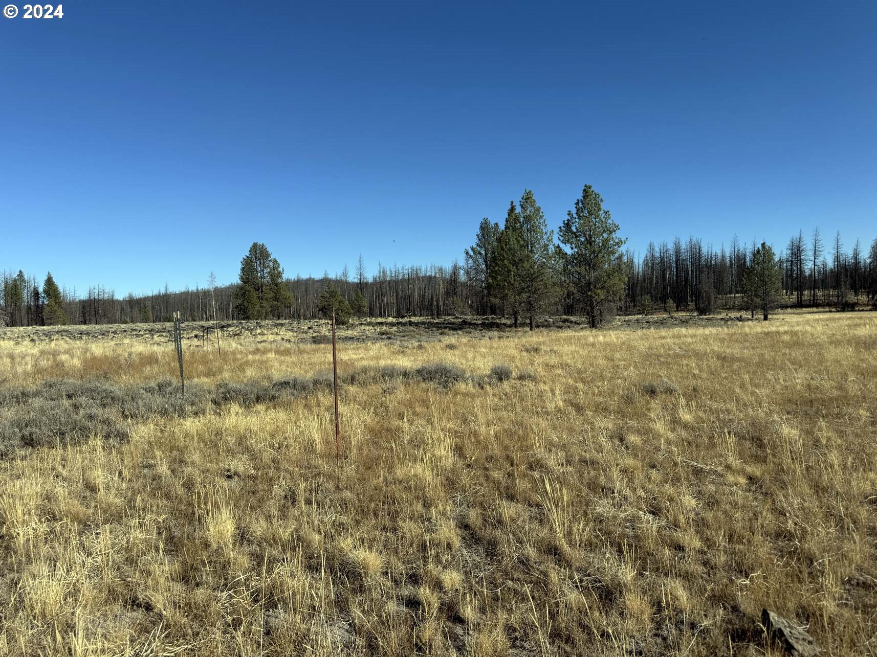 Bull Pine Road, Unit 500 Beatty, OR 97621 - Photo 28 of 48 a view of a field with trees in the background