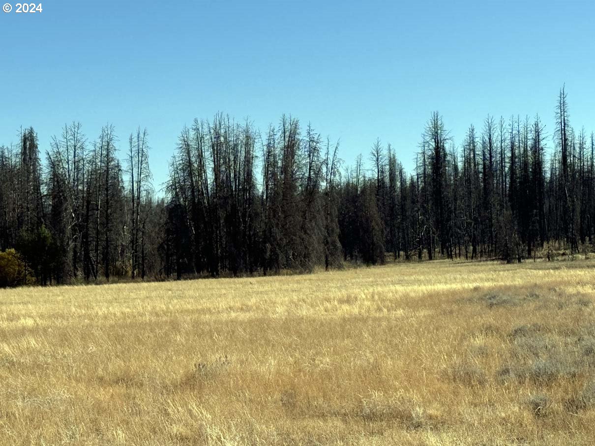 Bull Pine Road, Unit 500 Beatty, OR 97621 - Photo 31 of 48 a view of a yard with trees