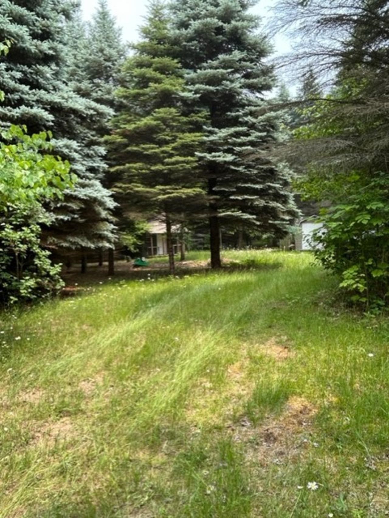 V/l South Grout Road Gladwin, MI 48624 - Photo 22 of 29