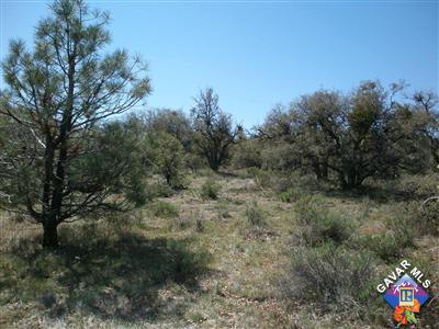 0 Mendinburo Cyn Road Tehachapi, CA 93561 - Photo 4 of 7 a view of a pathway with a tree