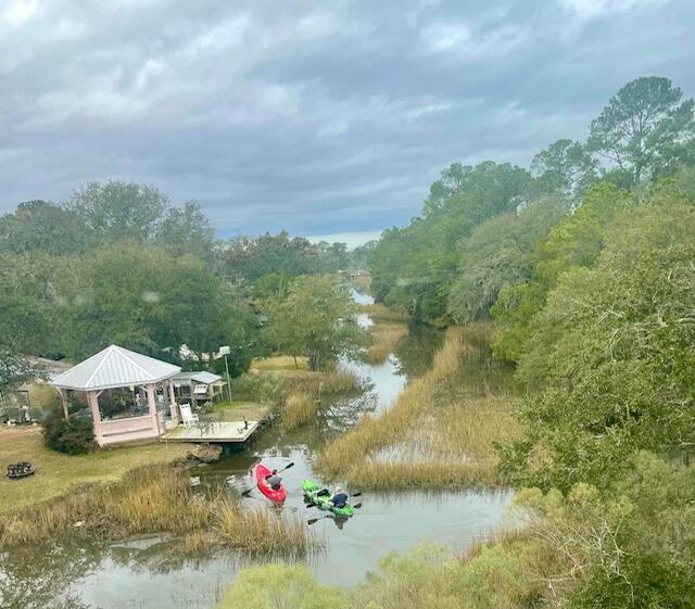 219 Wappoo Road Charleston, SC 29407 - Photo 20 of 52 IMG_3343
