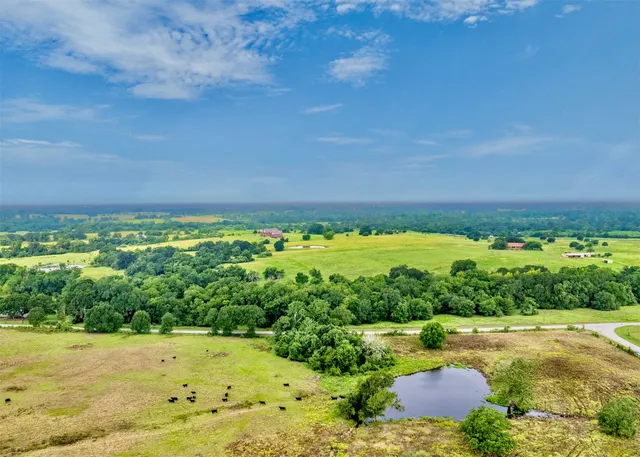 a view of a large yard with lots of green space