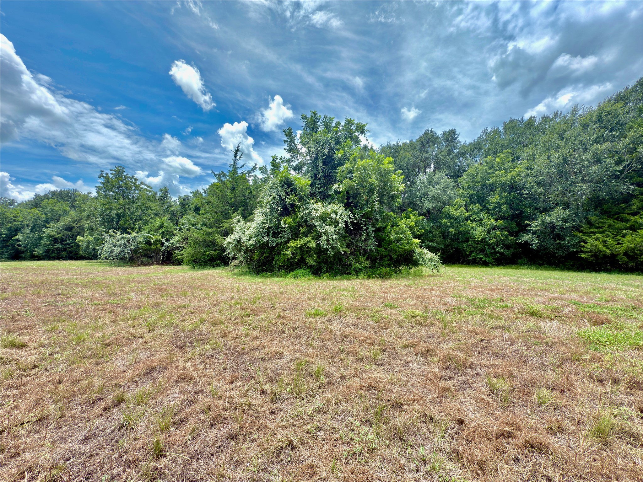 Tbd Flewellen Road Brenham, TX 77833 - Photo 12 of 25 a view of an outdoor space and a yard