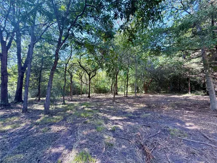 a view of outdoor space with trees