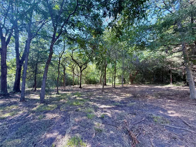 a view of outdoor space with trees