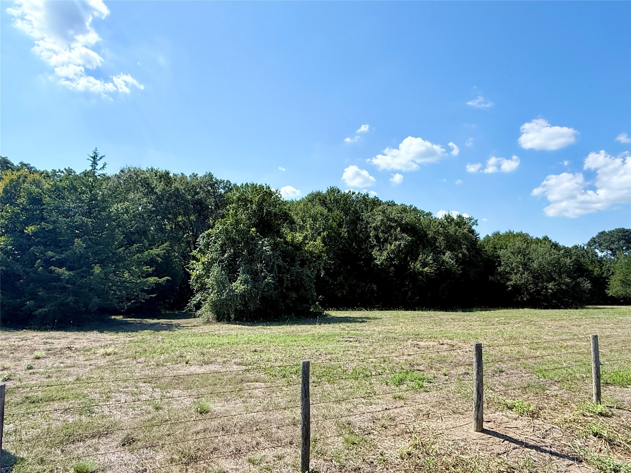 Tbd Flewellen Road Brenham, TX 77833 - Photo 14 of 25 a view of a backyard