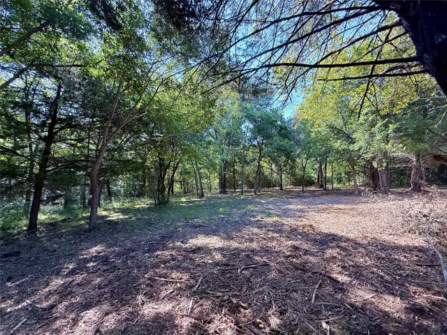 a view of a yard with a tree