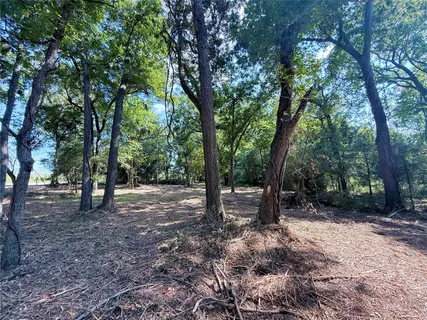 a view of outdoor space with lots of trees