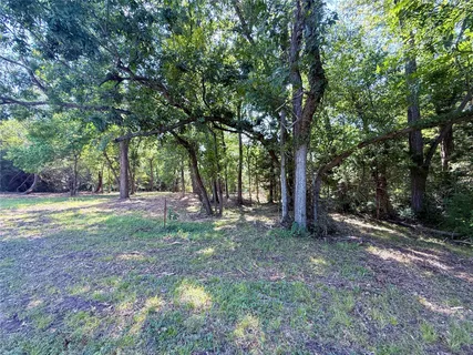 a view of a tree in the middle of a yard