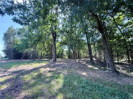 a view of a backyard with trees
