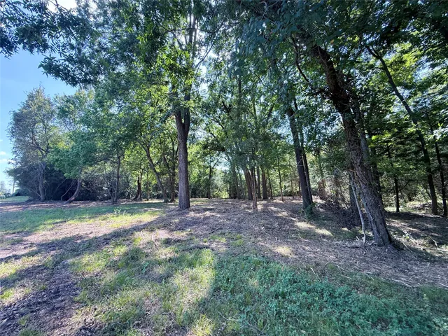 a view of a backyard with trees
