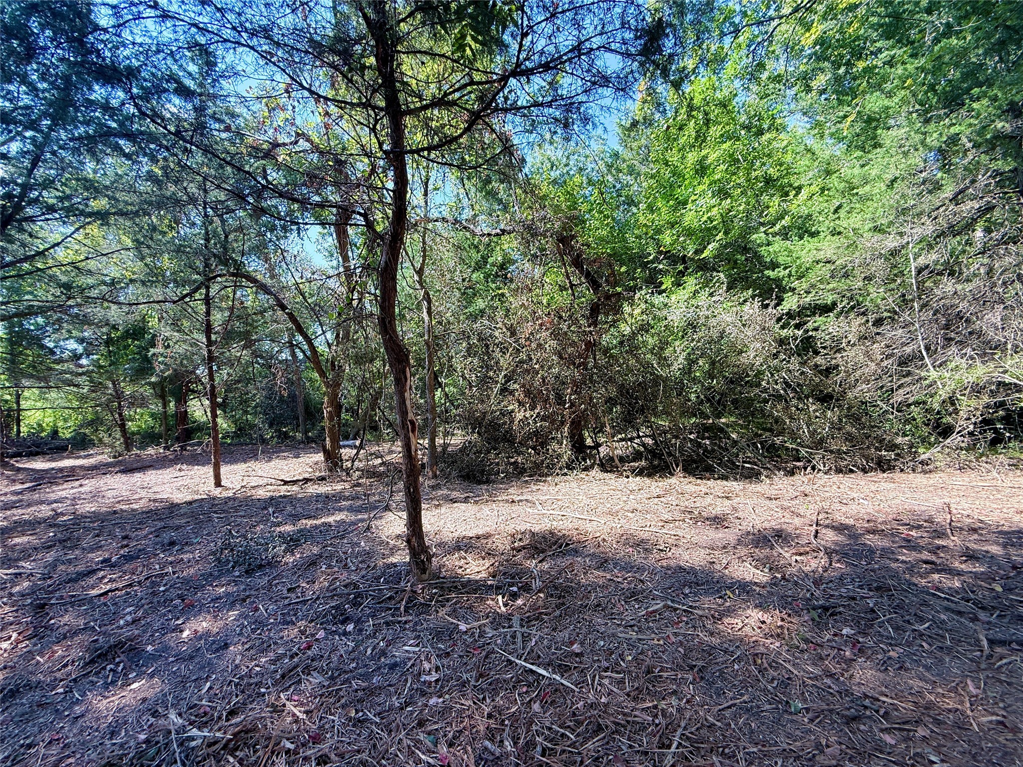 Tbd Flewellen Road Brenham, TX 77833 - Photo 20 of 25 a view of a yard with a tree