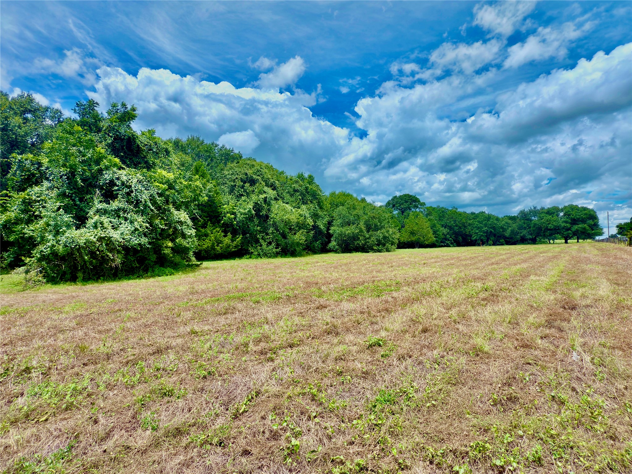 Tbd Flewellen Road Brenham, TX 77833 - Photo 4 of 25 a view of a yard with a tree