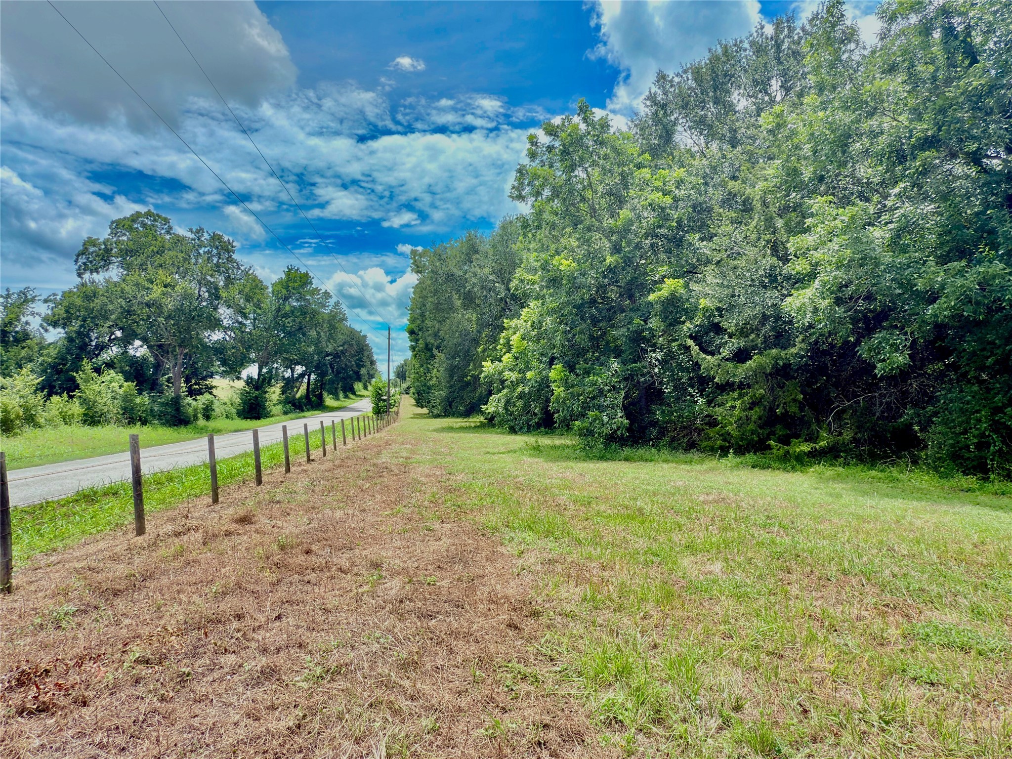 Tbd Flewellen Road Brenham, TX 77833 - Photo 5 of 25 a view of a field with trees in the background