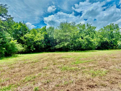 a view of a yard with a tree