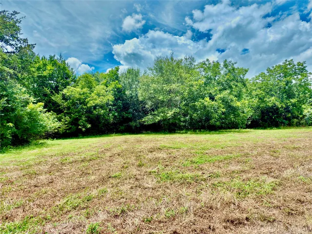 a view of a yard with a tree