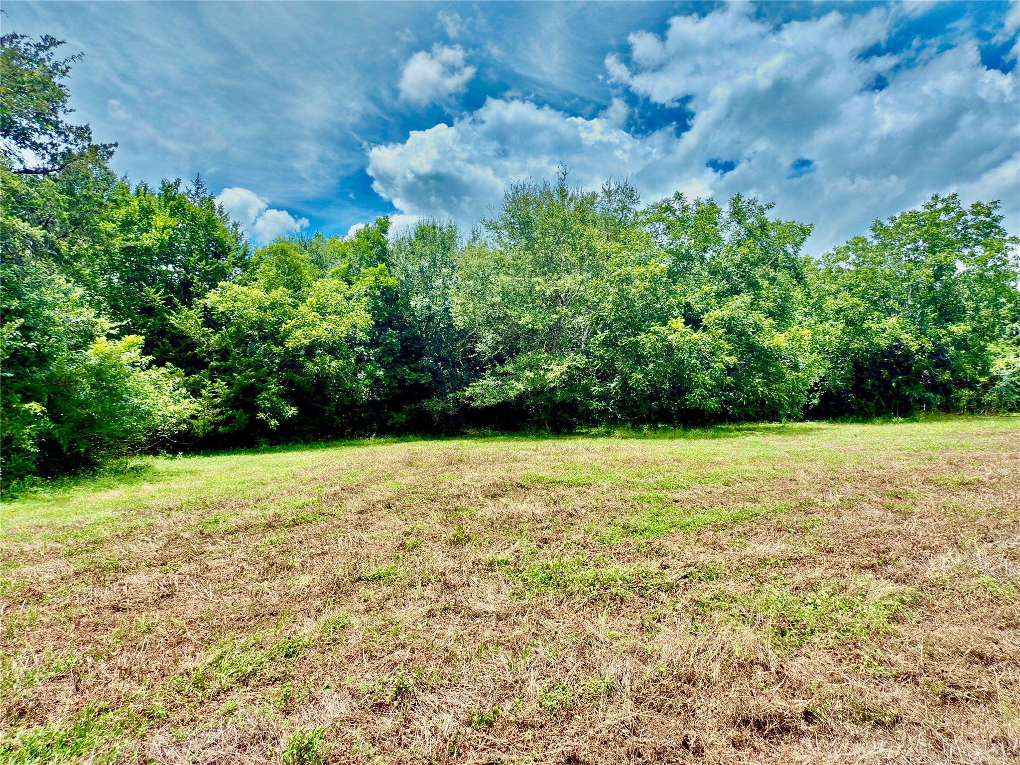 Tbd Flewellen Road Brenham, TX 77833 - Photo 8 of 25 a view of a yard with a tree