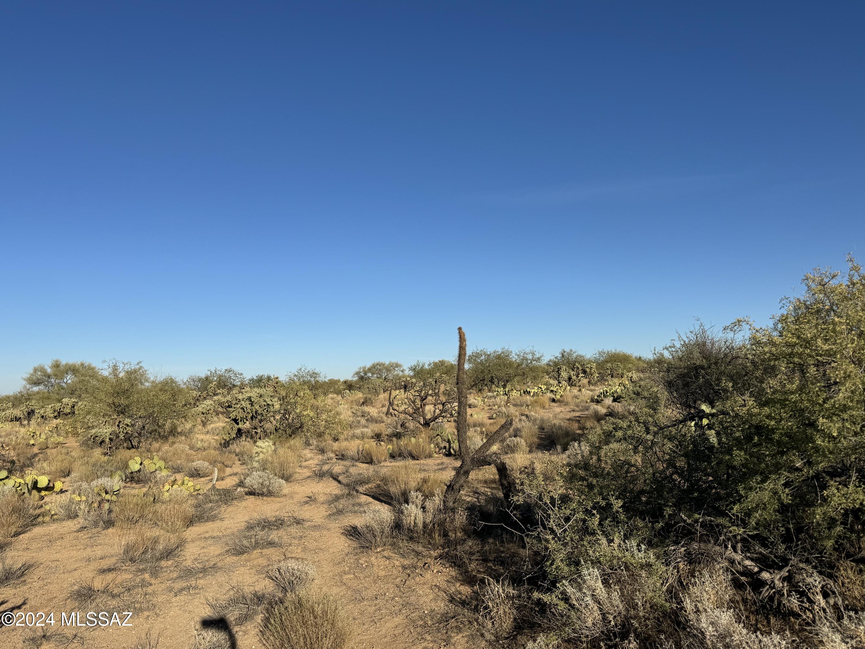 14982 South Garvey Road Tucson, AZ 85736 - Photo 2 of 10 Gallery Image 2