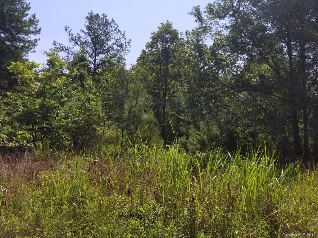 3 Armstrong Ford Road Rock Hill, SC 29730 - Photo 1 of 1 Gallery Image 1