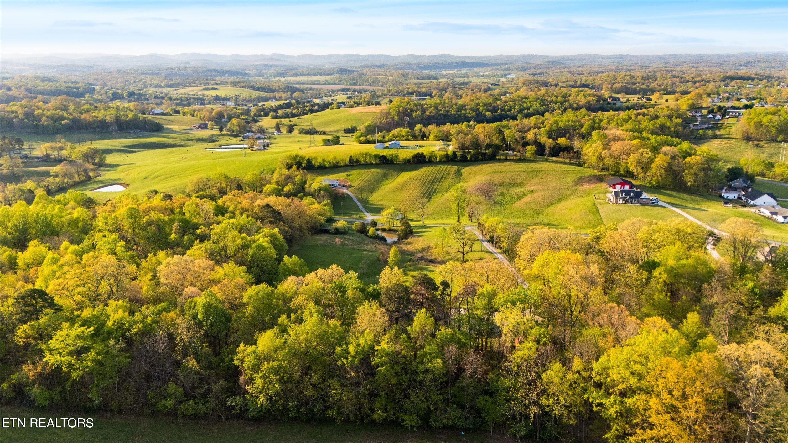 211 Brown Road Blaine, TN 37709 - Photo 47 of 48 DRONE VIEW