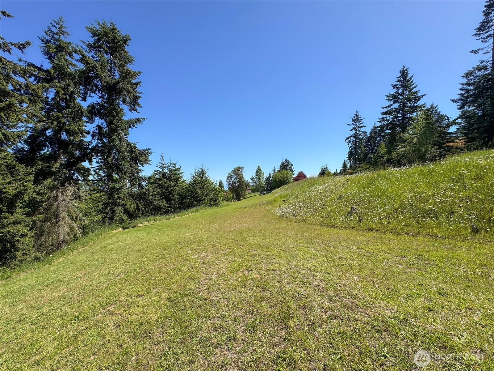 -nka Owls Nest Road Sequim, WA 98382 - Photo 18 of 38 a view of a field with an trees