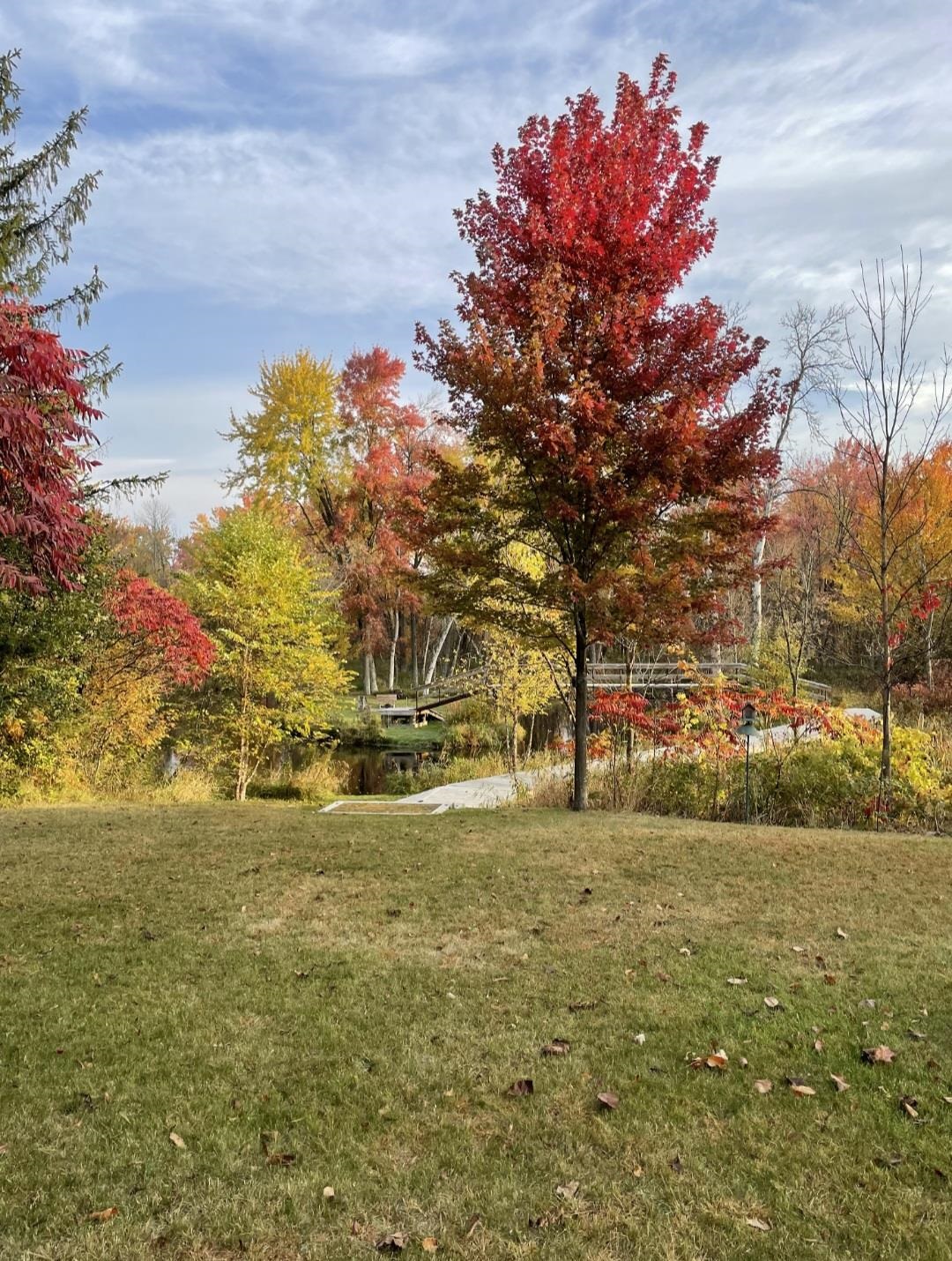 W3016 County Rd H Pine River, WI 54965 - Photo 86 of 88