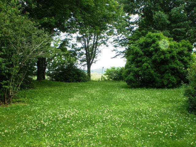 7377 Old Tuckaleechee Road Townsend, TN 37882 - Photo 11 of 19 Yardsideback