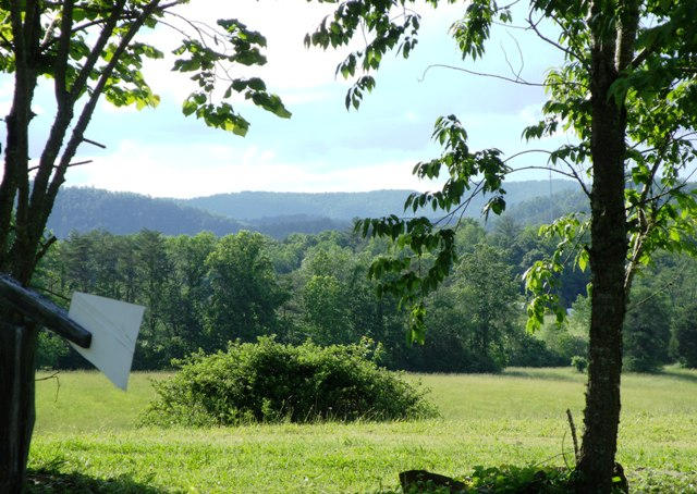 7377 Old Tuckaleechee Road Townsend, TN 37882 - Photo 12 of 19 YardMtnsgood