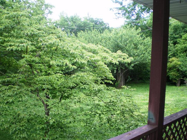 7377 Old Tuckaleechee Road Townsend, TN 37882 - Photo 7 of 19 YardFronttoside