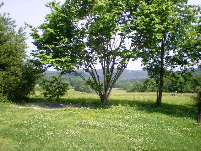7377 Old Tuckaleechee Road Townsend, TN 37882 - Photo 9 of 19 YardBackField