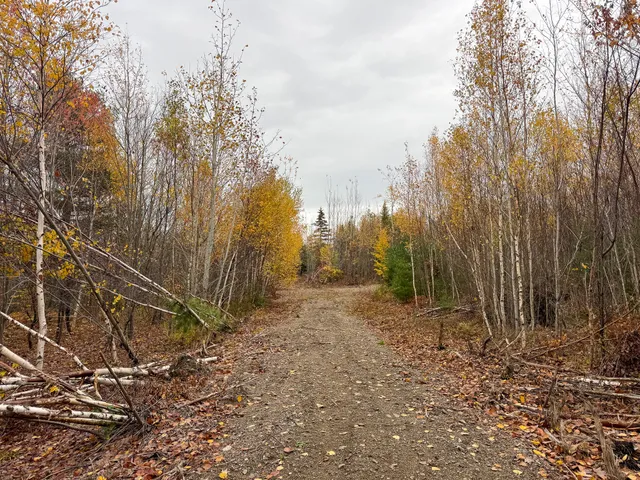 $199,000 | 1 U.S. Route 1, Pembroke, ME 04666