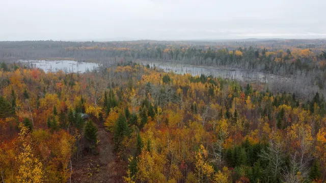 $199,000 | 1 U.S. Route 1, Pembroke, ME 04666