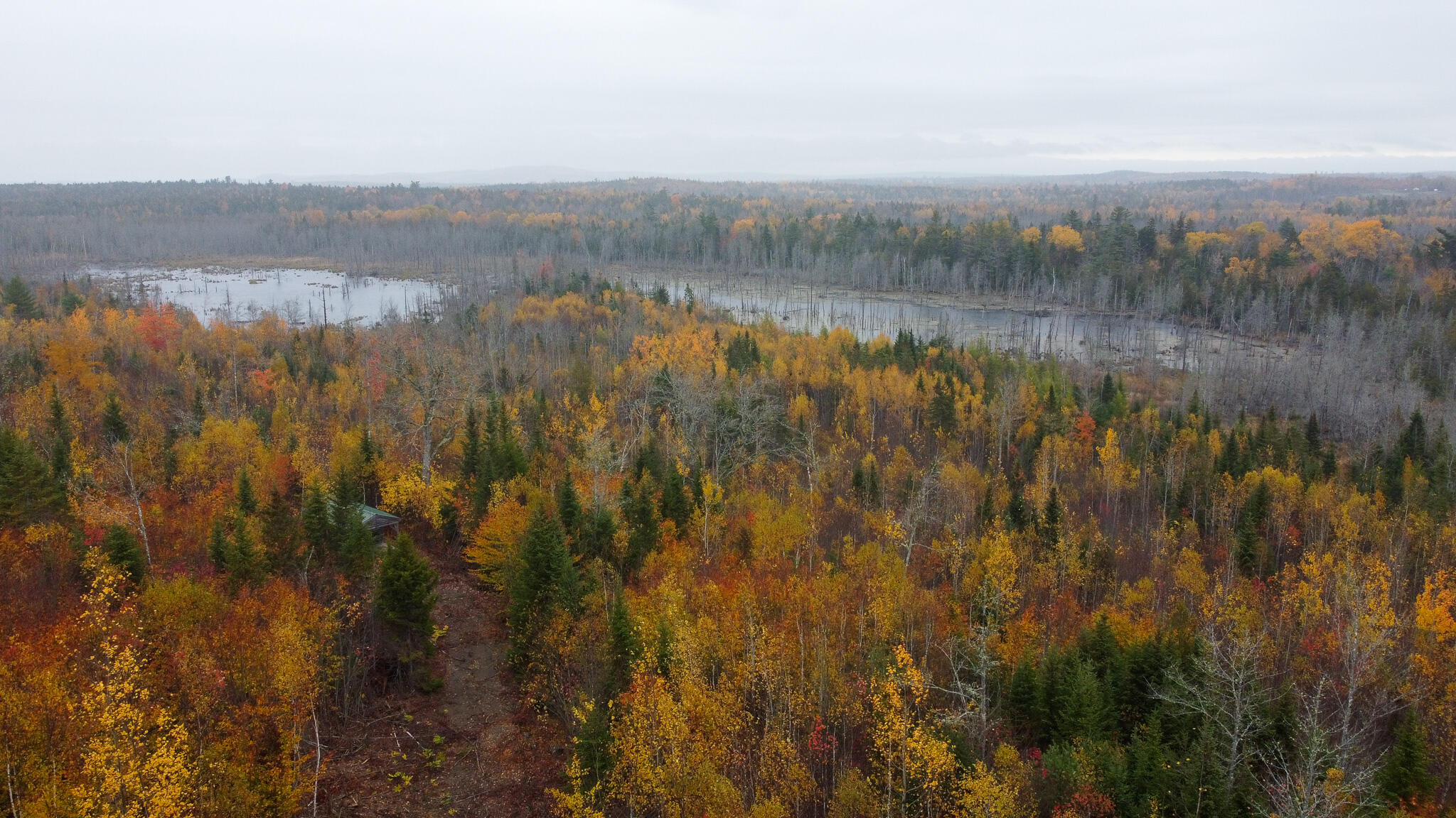 1 U.S. Route 1 Pembroke, ME 04666 - Photo 2 of 23 2
