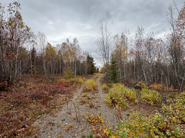 $199,000 | 1 U.S. Route 1, Pembroke, ME 04666