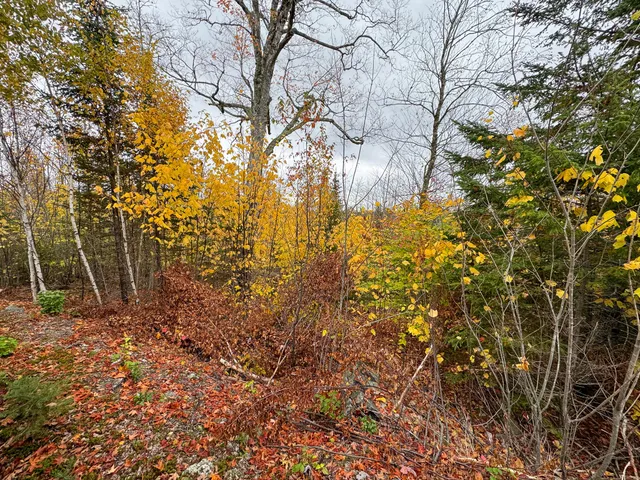 $199,000 | 1 U.S. Route 1, Pembroke, ME 04666