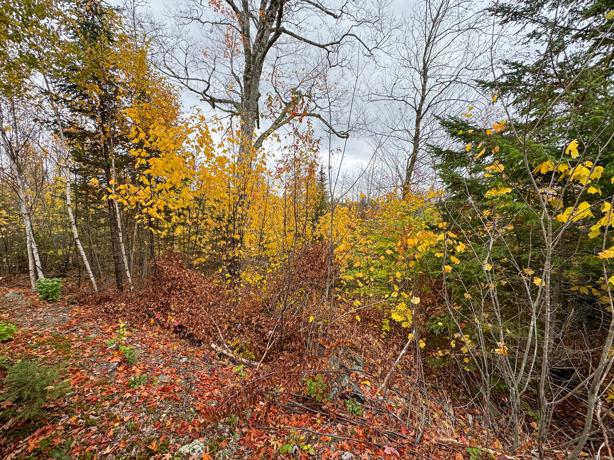 1 U.S. Route 1 Pembroke, ME 04666 - Photo 23 of 23 23