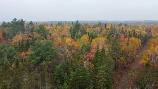 $199,000 | 1 U.S. Route 1, Pembroke, ME 04666