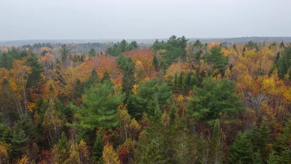 $199,000 | 1 U.S. Route 1, Pembroke, ME 04666