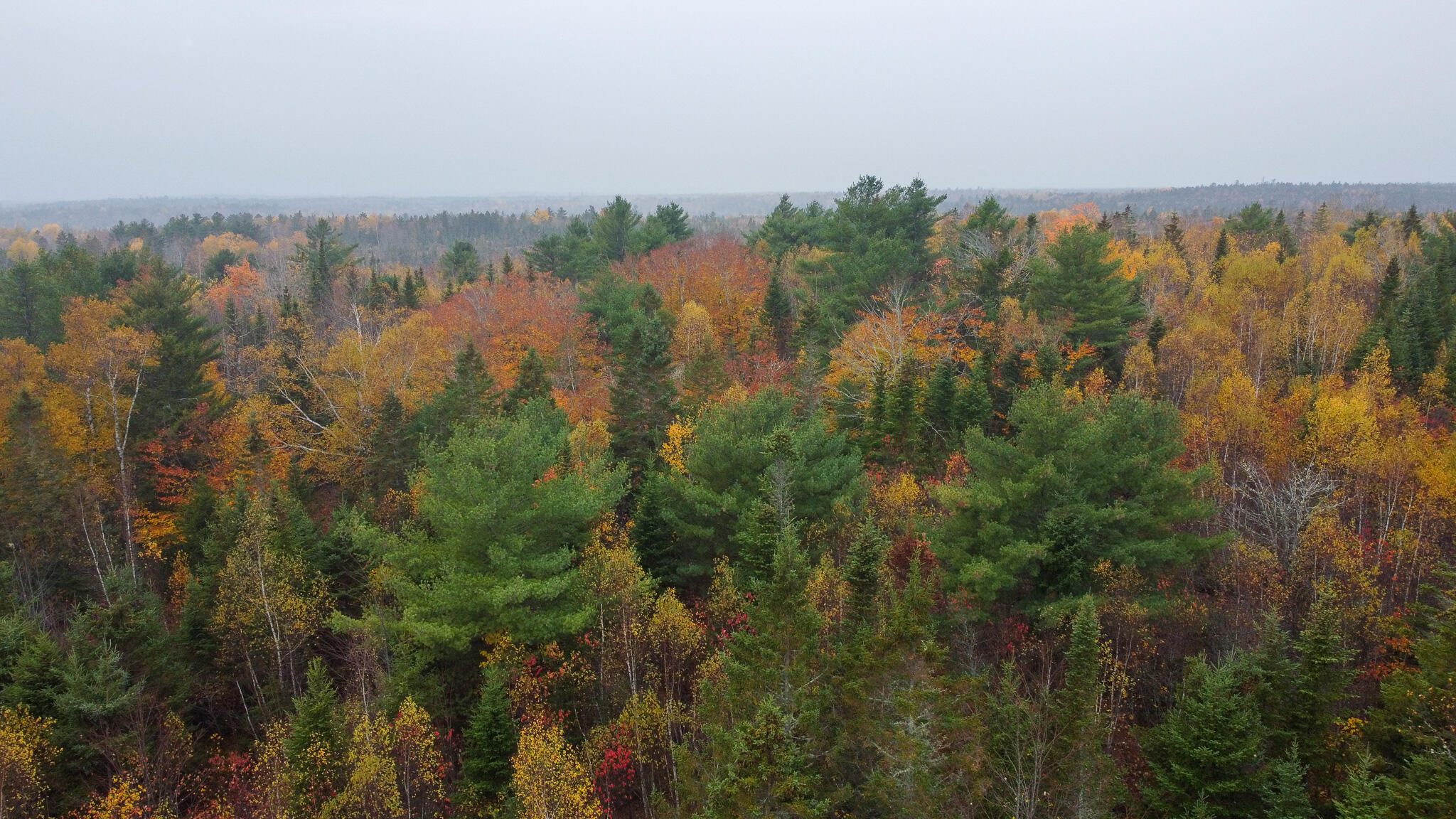 1 U.S. Route 1 Pembroke, ME 04666 - Photo 4 of 23 4