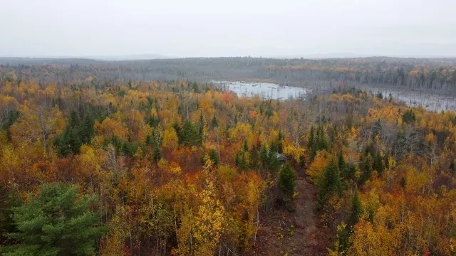 $199,000 | 1 U.S. Route 1, Pembroke, ME 04666