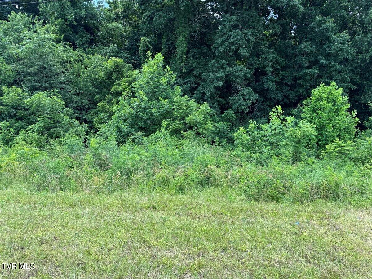 Tbd Tbd Rheatown Road Greeneville, TN 37745 - Photo 20 of 25 42-IMG_8608