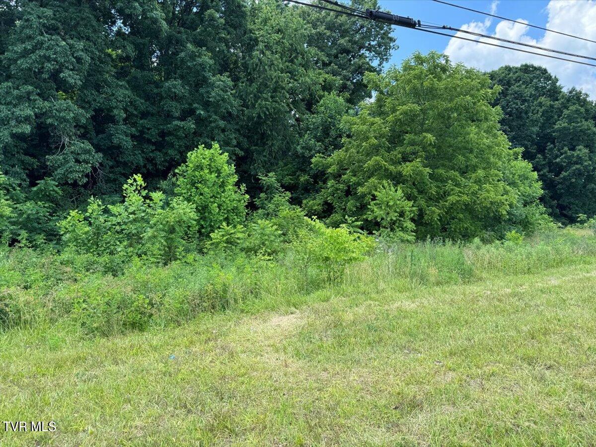 Tbd Tbd Rheatown Road Greeneville, TN 37745 - Photo 21 of 25 43-IMG_8607